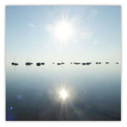 Hartmut Kaiser: 118d Segelboote Ufenau 003