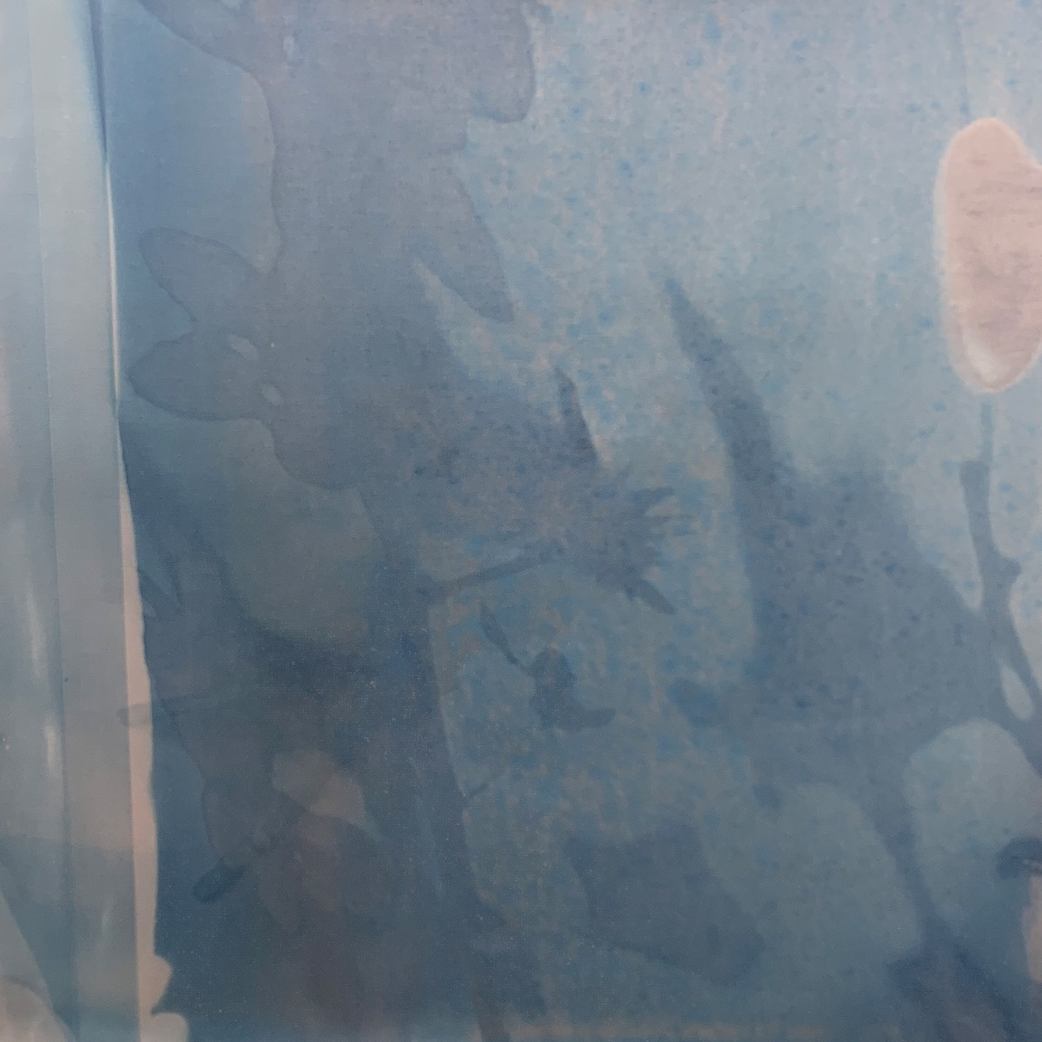 Evelyn Dönicke: Cyanotypie III