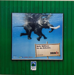 Hartmut Kaiser: Elefant Zoo