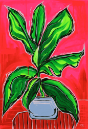 Jonjo Elliott: Pink Plant