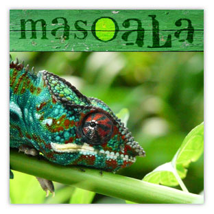 Zoo Zürich Masoala (Camelion) 001 – Hartmut Kaiser