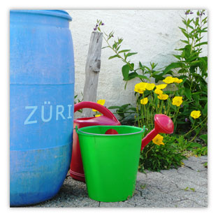Züri Frühling 001 – Hartmut Kaiser