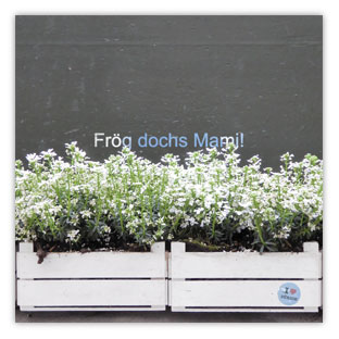 Frag dochs Mami 001 – Hartmut Kaiser