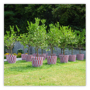 Rechberg Park 006 – Hartmut Kaiser