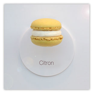 Macaron Citron 002 – Hartmut Kaiser