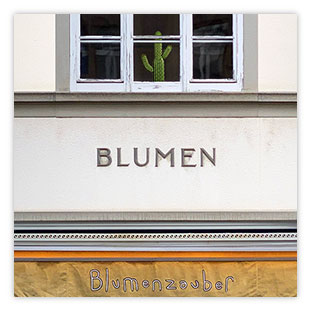 Blumenzauber 001 – Hartmut Kaiser